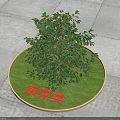 Green Vegetable Plant In Circular Area With Vegetable Category Sign 3d model