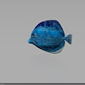 Artistic Blue Fish Character 3D Model With Textured Design And Shiny Scales