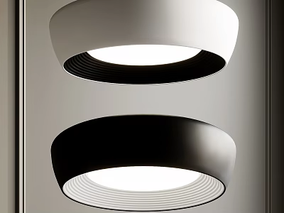 Modern Ceiling Lights With Sleek Contrasting Designs 3d model
