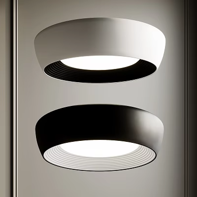 Modern Ceiling Lights With Sleek Contrasting Designs 3d model
