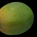 Modern Mango 3d model