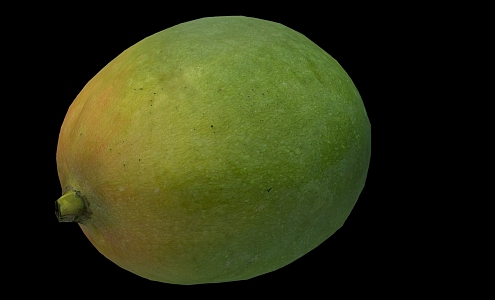 Modern Mango 3d model