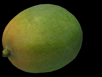 Modern Mango 3d model