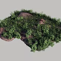 Lush Green Ground Cover Plants Growing On Natural Soil Surface Area