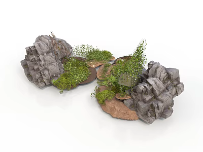 Modern Landscape Design Featuring Rocks Moss And Small Green Plants Arrangement 3d model