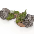 Modern Landscape Design Featuring Rocks Moss And Small Green Plants Arrangement
