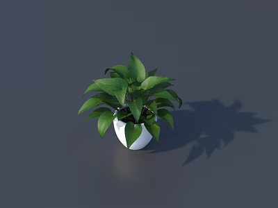 Green Leafy Potted Plant In White Ceramic Pot For Home Decoration 3d model