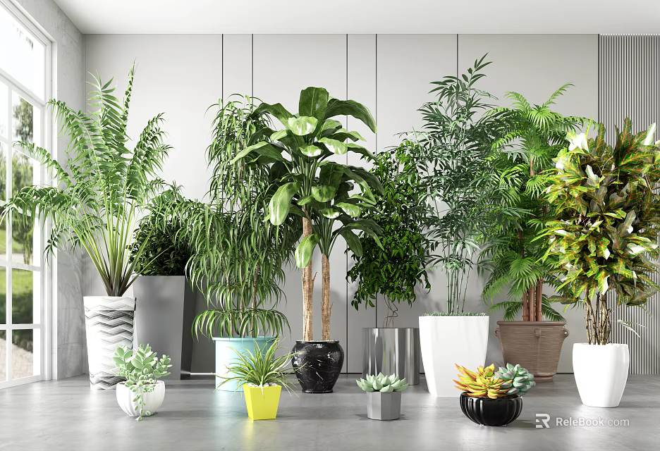 Various Indoor Potted Plants In Different Style Pots For Home Decor 3d model 