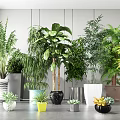 Various Indoor Potted Plants In Different Style Pots For Home Decor