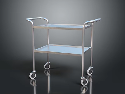Stainless Steel Medical Cart With Double Layer Shelves And Wheels 3d model
