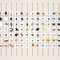 Creative Wall With Insect Specimens And Plant Cards Arranged In Rows 3d model
