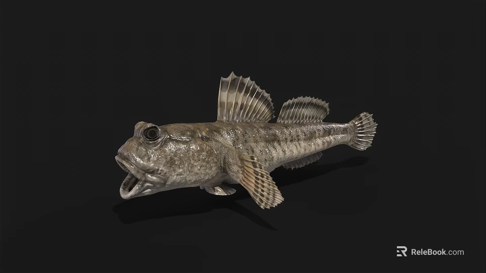 Unique Aquatic Fish With Large Eyes Open Mouth Textured Skin And Fan Shaped Fins 3d model 