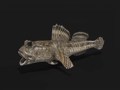 Unique Aquatic Fish With Large Eyes Open Mouth Textured Skin And Fan Shaped Fins 3d model