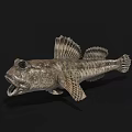 Unique Aquatic Fish With Large Eyes Open Mouth Textured Skin And Fan Shaped Fins