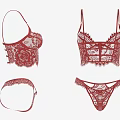 Women's Red Lace Underwear Set With Delicate Lace Design And Matching Bras And Panties