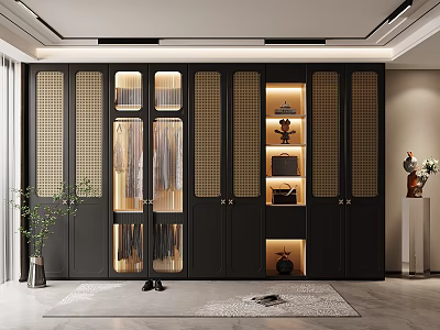 Modern Black Wardrobe with Glass Doors Lattice Design LED Lighting and Storage in Interior 3d model