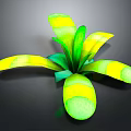 Vibrant Variegated Plant with Green and Yellow Broad Leaves in
