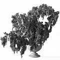 Decorative Hanging Ornament Set With Lush Red Foliage In Black Pot For Home Decor
