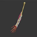 Detailed Anatomical Arm Skeleton with Muscles Displayed on Black Background