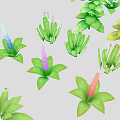 Colorful Plants Collection With Various Shapes And Different Colored Flowers In Illustration Style
