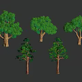 Set Of Various Green Leaf Trees With Different Sizes Brown Trunks And Shadows 3d model