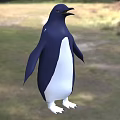 Blue And White Penguin Standing On Green Grassland In Natural Habitat