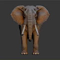 Detailed Realistic Elephant With Large White Tusks And Wrinkled Skin