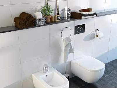 Modern White Toilet Bathroom Interior With Tile Wall Towel Rack And Green Plant 3d model