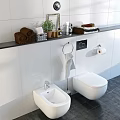 Modern White Toilet Bathroom Interior With Tile Wall Towel Rack And Green Plant