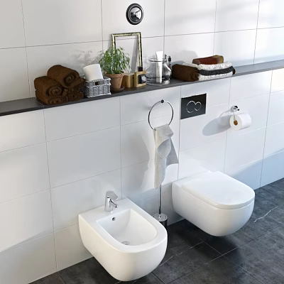 Modern White Toilet Bathroom Interior With Tile Wall Towel Rack And Green Plant 3d model