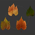 Four Colorful Autumn Leaves Orange Red Green Yellow on Grey Background with Reflections