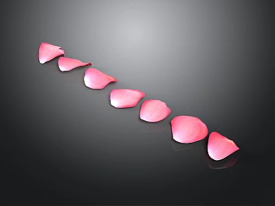 Pink Rose Petals Arranged in a Line on Black Background with Soft Glow 3d model