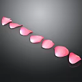 Pink Rose Petals Arranged in a Line on Black Background with Soft Glow