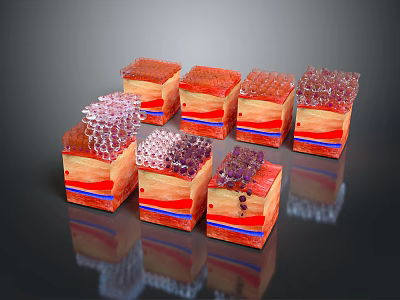 Advanced Medical Device Tissue Models With Layered Structures And Biomaterial Components 3d model