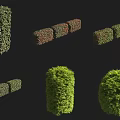 Various Shaped Green and Red Bushes for Garden Landscaping and Outdoor Design