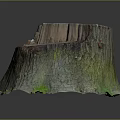 Natural Wooden Tree Stump With Rough Bark Texture And Smooth Top Surface 3d model