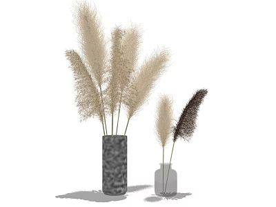 Decorative Pampas Grass Arrangement In Large Dark And Small Clear Vases 3d model