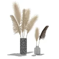 Decorative Pampas Grass Arrangement In Large Dark And Small Clear Vases