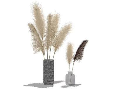 Decorative Pampas Grass Arrangement In Large Dark And Small Clear Vases 3d model