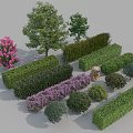 Diverse Garden Shrubs Including Flowering Bushes Trimmed Green Hedges and Ornamental Varieties