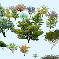 Diverse Arbor Species Featuring Various Foliage and Different Tree Shapes 3d model