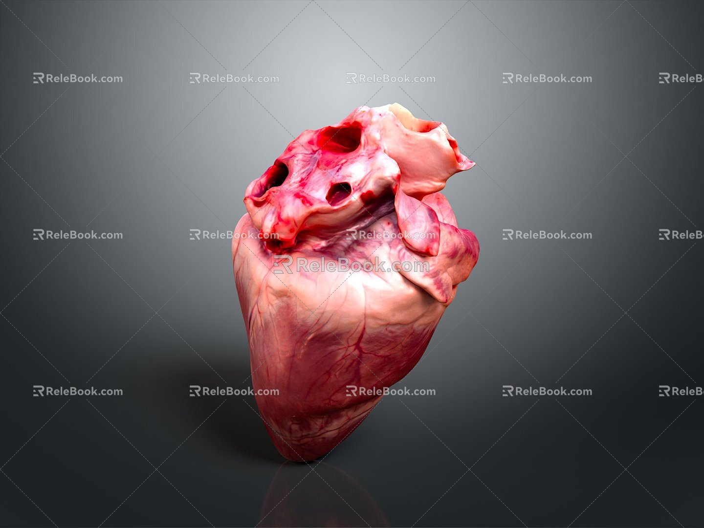 Modern Heart Human Heart Heart Anatomy 3d model