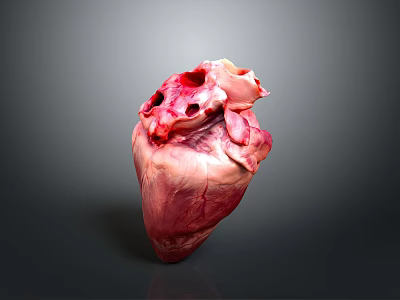 Medical Device Human Heart Model With Detailed Anatomical Structure For Education 3d model