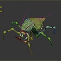 Green Flying Grasshopper with Slender Legs Detailed Body Texture Transparent Wings on Gray Background
