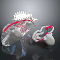 3D Rendered Medical Device Displaying Heart Skeletal Structure With Red Blood Vessels