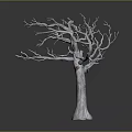 Leafless Dead Tree With Textured Trunk And Spreading Branches On Simple Gray Gradient Background
