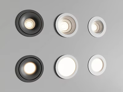 Modern Round Downlights And Spotlights In Black White Multiple Ceiling Lighting Units 3d model
