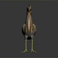 Realistic Brown Feathered Heron With Long Orange Beak And Yellow Legs Standing On Dark Reflective Surface