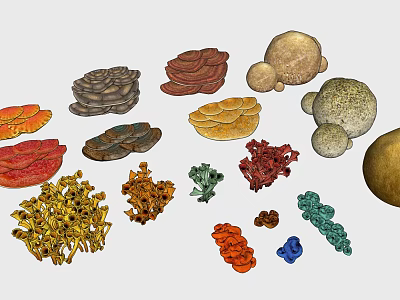 Modern Coral Undersea Coral Rocks 3d model