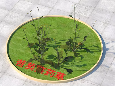 Lush Green Herb Plants Thriving In Circular Moss Covered Garden Patch 3d model
